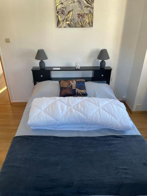Entre Et Montagne 4/6 Personnes Holiday home
